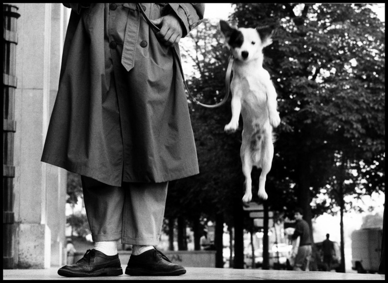 FRANCE. Paris. 1989. Contact email: New York : photography@magnumphotos.com Paris : magnum@magnumphotos.fr London : magnum@magnumphotos.co.uk Tokyo : tokyo@magnumphotos.co.jp Contact phones: New York : +1 212 929 6000 Paris: + 33 1 53 42 50 00 London: + 44 20 7490 1771 Tokyo: + 81 3 3219 0771 Image URL: http://www.magnumphotos.com/Archive/C.aspx?VP3=ViewBox_VPage&IID=2S5RYDWH6L_E&CT=Image&IT=ZoomImage01_VForm