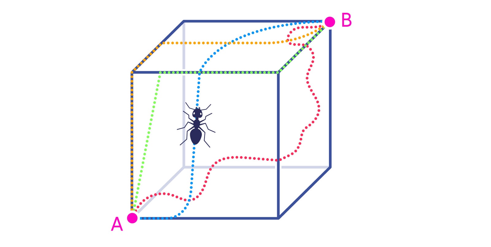 ant in a cube