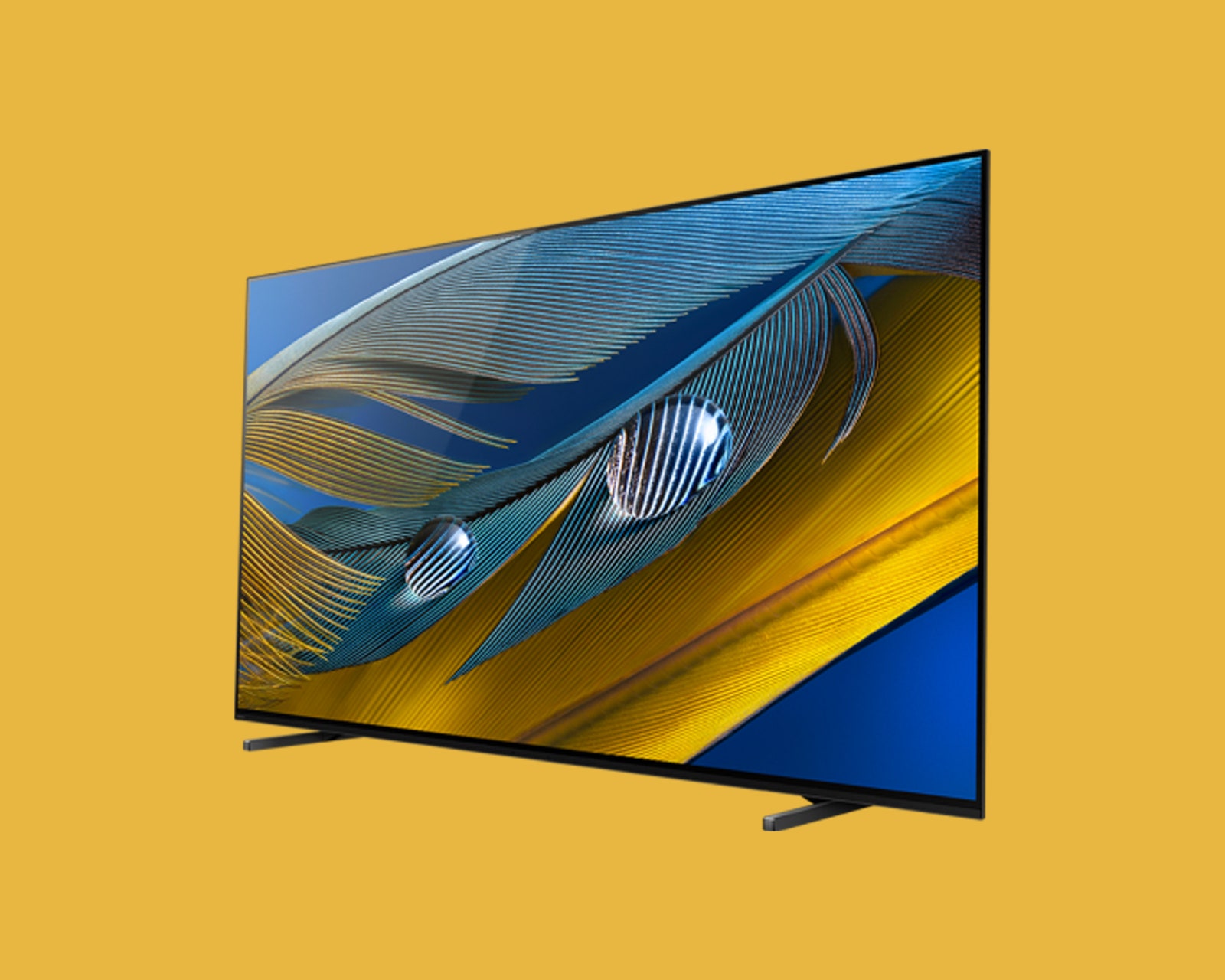 Sony Bravia A80J TV