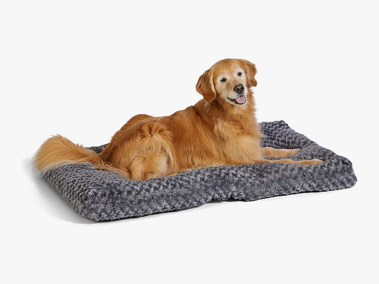 Dog laying in dog bed